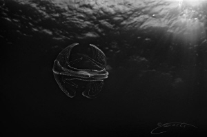 ~ Back to The Future ~ by Geo Cloete 